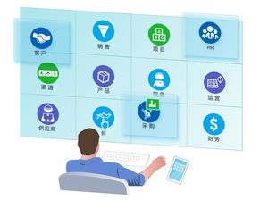 8manage企业管理软件 通用型与定制开发的选择之道